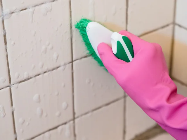 Deep Cleaning vs. Standard Cleaning: Which One Does Your Home Actually Need?
